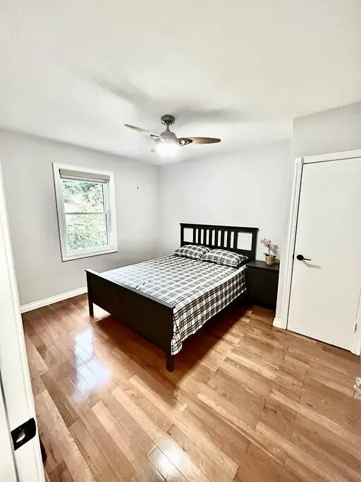 Beautiful House Near Bluffers Beach, 25 Minutes To Toronto Downtown, Free Parking, And Wifi Apartment