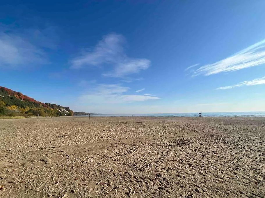 Beautiful House Near Bluffers Beach, 25 Minutes To Toronto Downtown, Free Parking, And Wifi Apartment